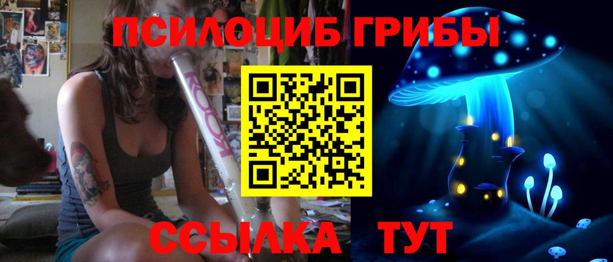 Псилоцибиновые грибы Psilocybine cubensis Ликино-Дулёво